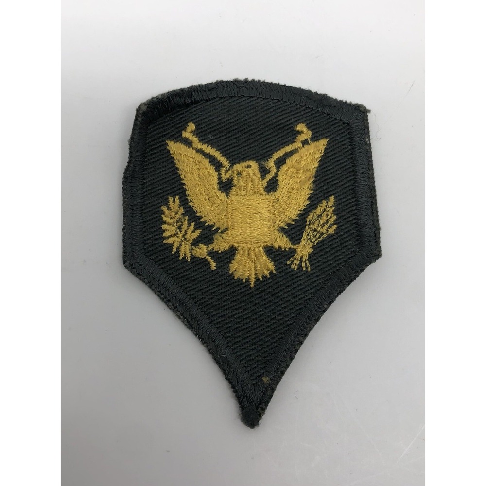 US Army Specialist Rank E4 SPC Gold Eagle Shoulder Insignia Uniform Patch Bird